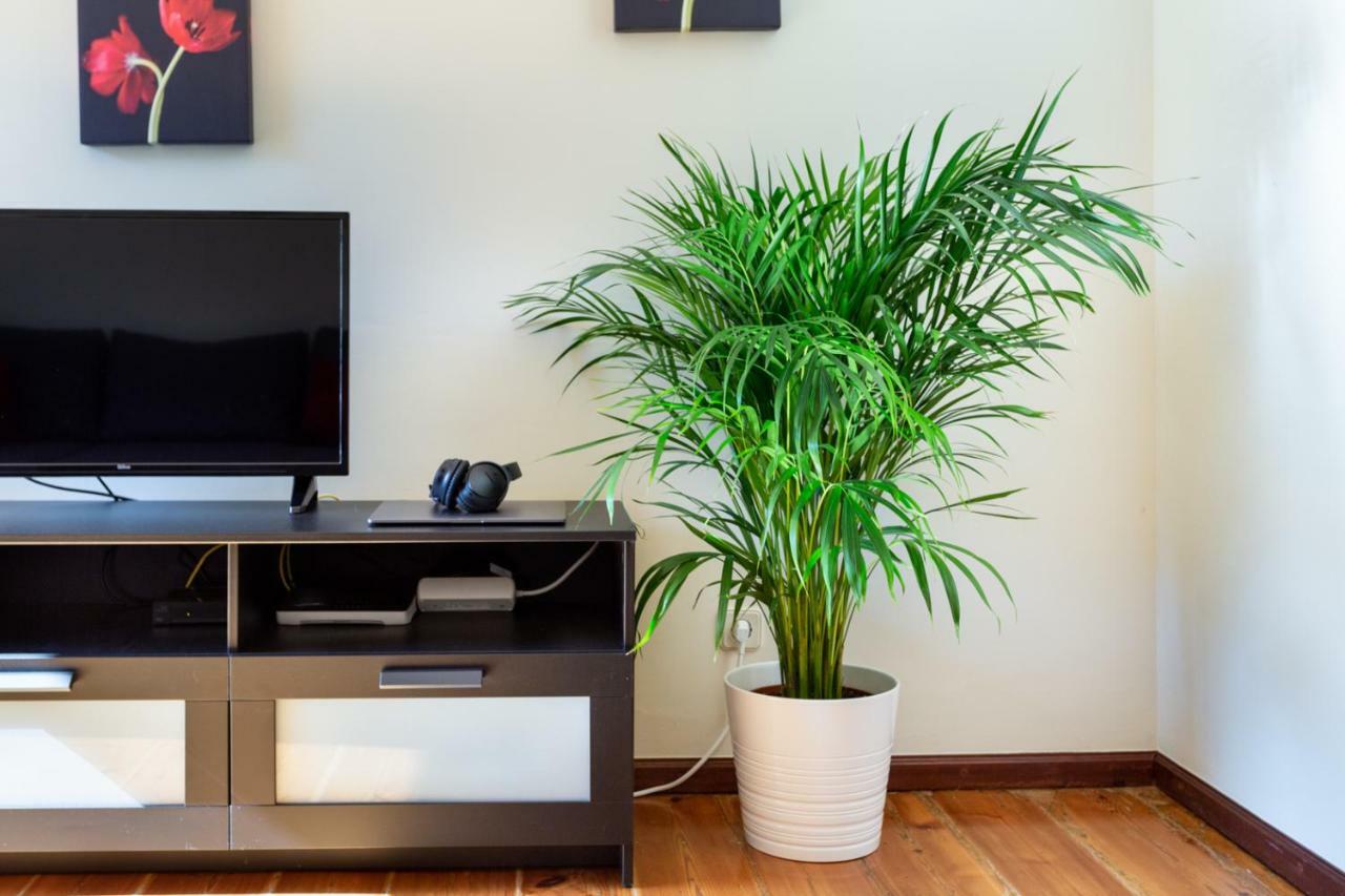Apartamento Joivy Downtown